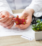 פרתירואיד ובלוטת התריס: תפקידן במערכת האנדוקרינית והקשיים בניתוחן-תמונה